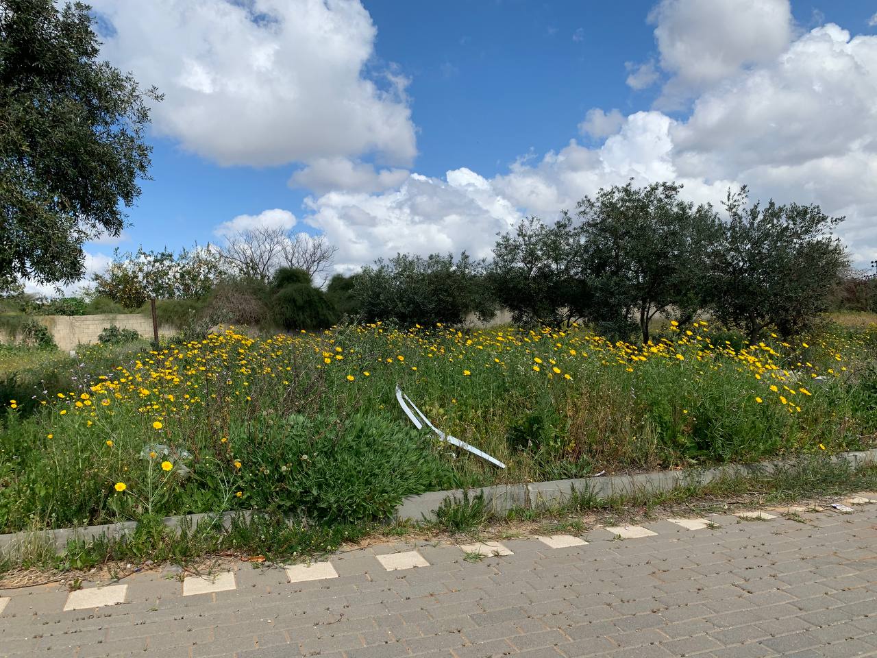 photo1678276195 (16).jpeg